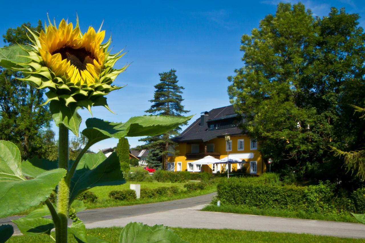Landgasthof Zum Betenmacher 탈가우 외부 사진